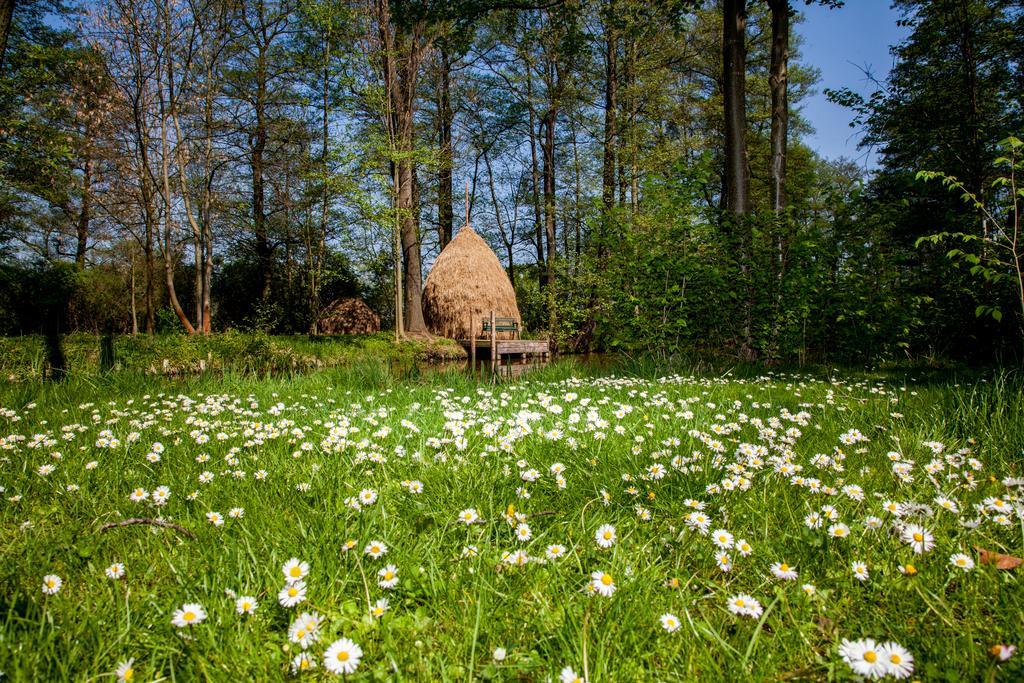 Hotel Zum Stern Spreewald Werben  Buitenkant foto